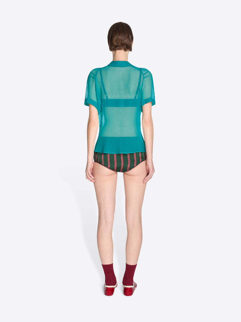 Person wearing a sheer teal top and striped underwear on a white background - Dries Van Noten