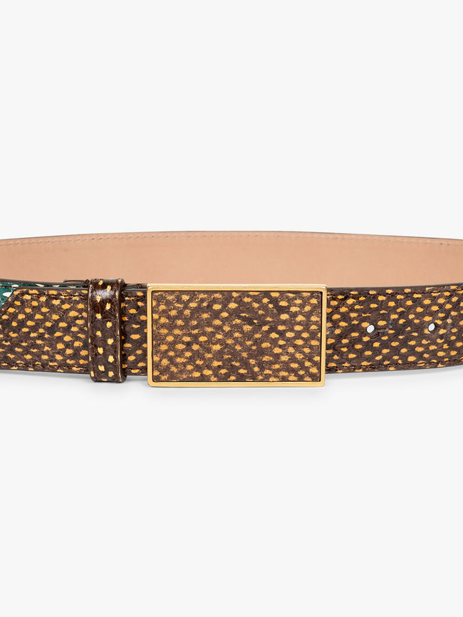 Brown leather belt with a decorative buckle on a white background - Dries Van Noten