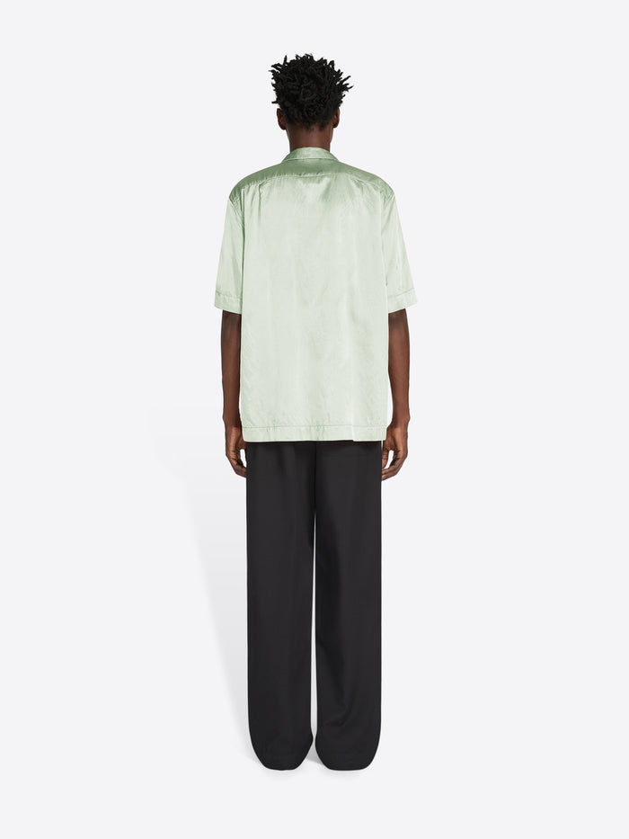 Person wearing a light green shirt and black pants on a white background