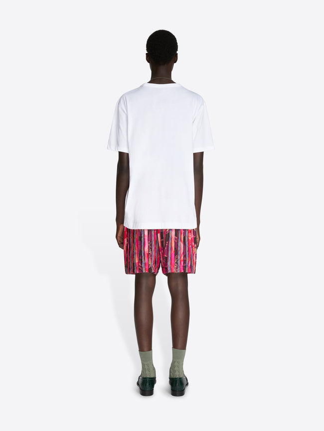 Person wearing a white t-shirt and pink plaid shorts on a white background