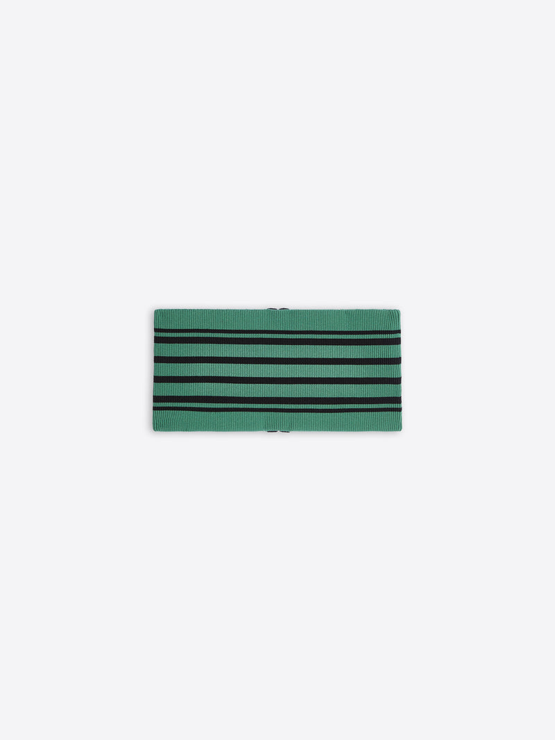 Rectangular green object with black stripes on a white background