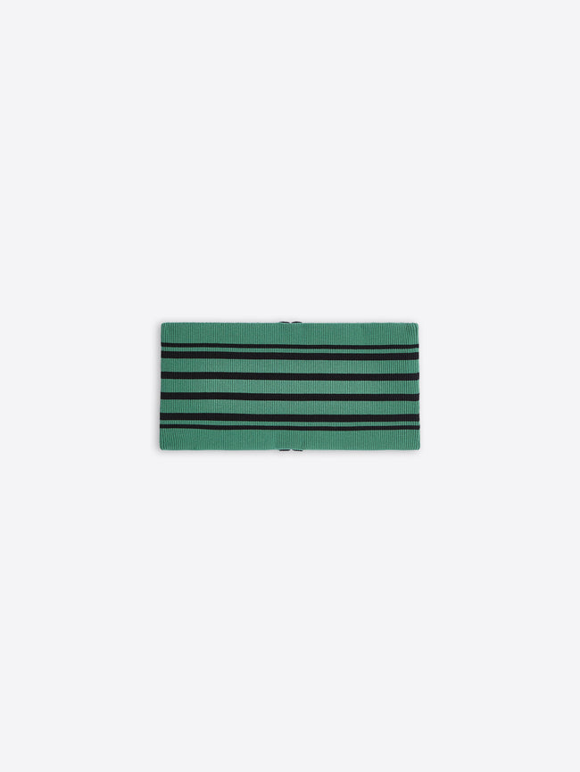 Rectangular green object with black stripes on a white background