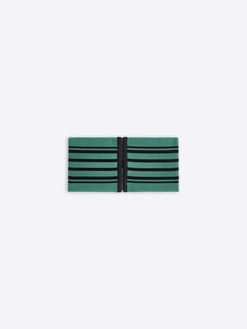 Green and black striped fabric on a white background