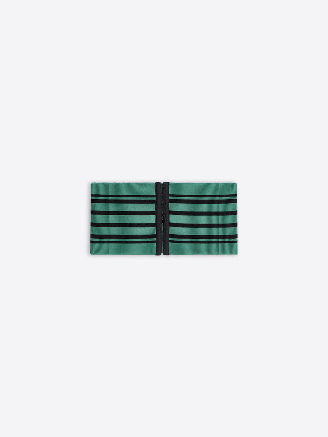 Green and black striped fabric on a white background
