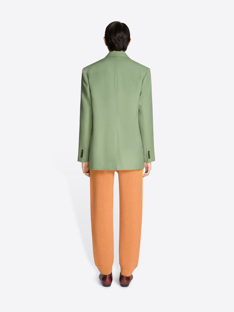 Back view of a person wearing a green blazer and orange pants on a white background