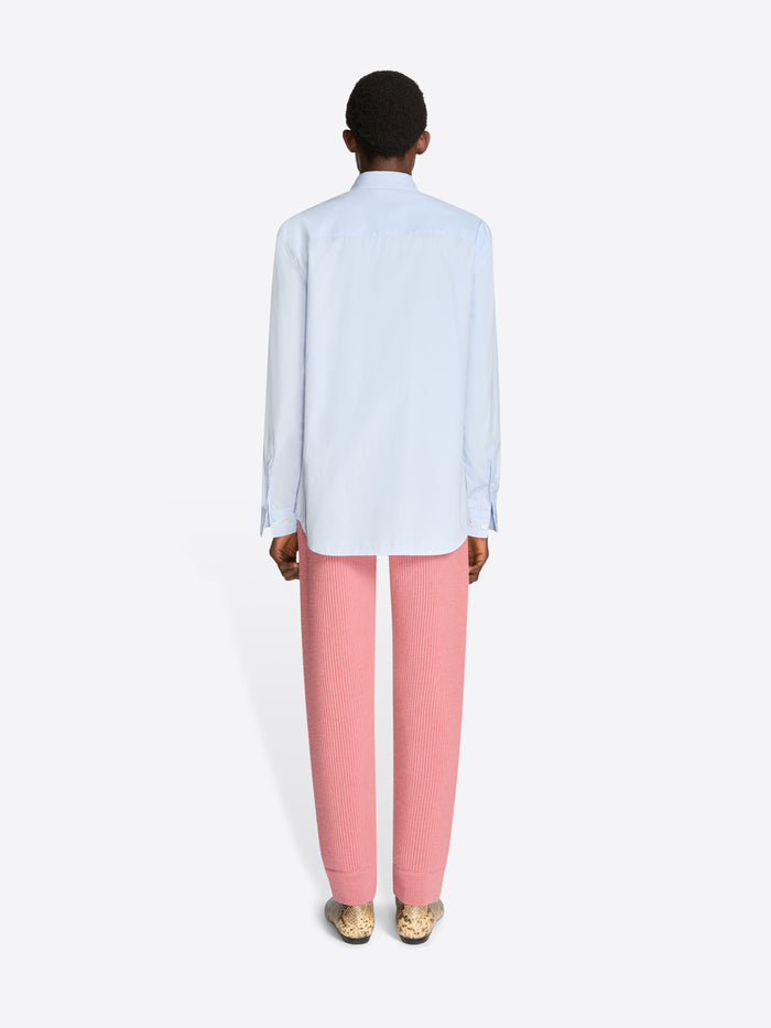 Back view of a person wearing a light blue shirt and pink pants on a white background