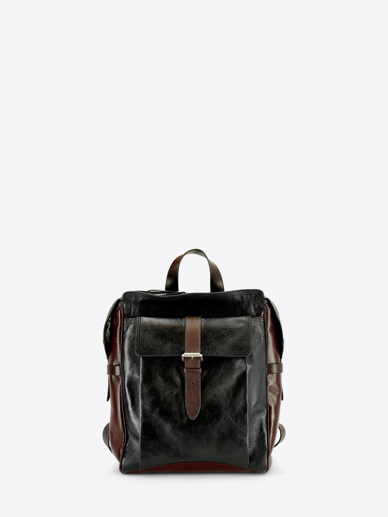A dark brown and black leather backpack with a front flap pocket and brown leather strap details, shown against a light gray background.