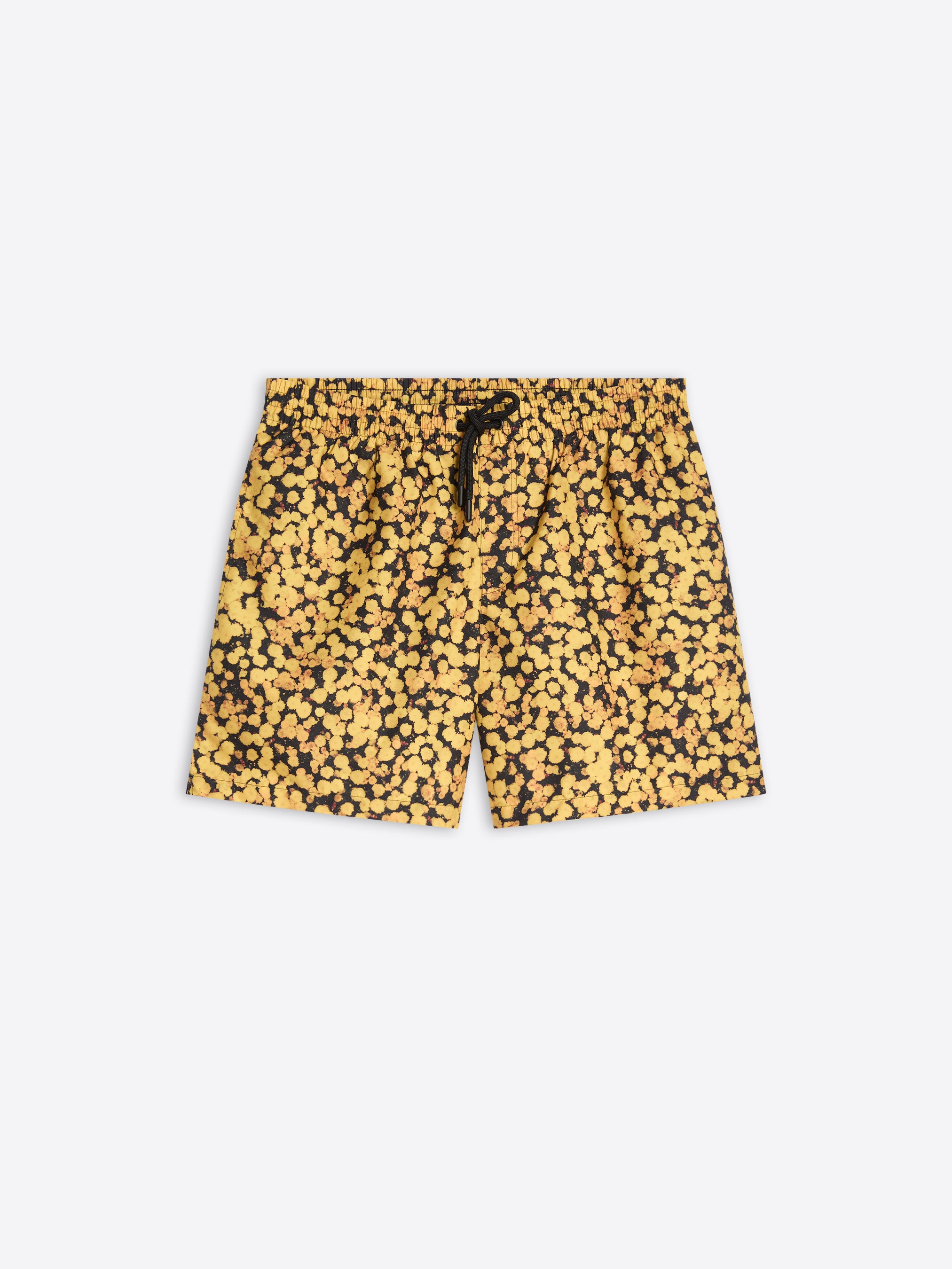 Men's Swimwear | Dries Van Noten