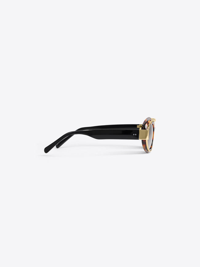 A pair of round sunglasses with black temples, gold metal hardware, and a tortoiseshell-patterned acetate frame, shown from a side profile on a light gray background.