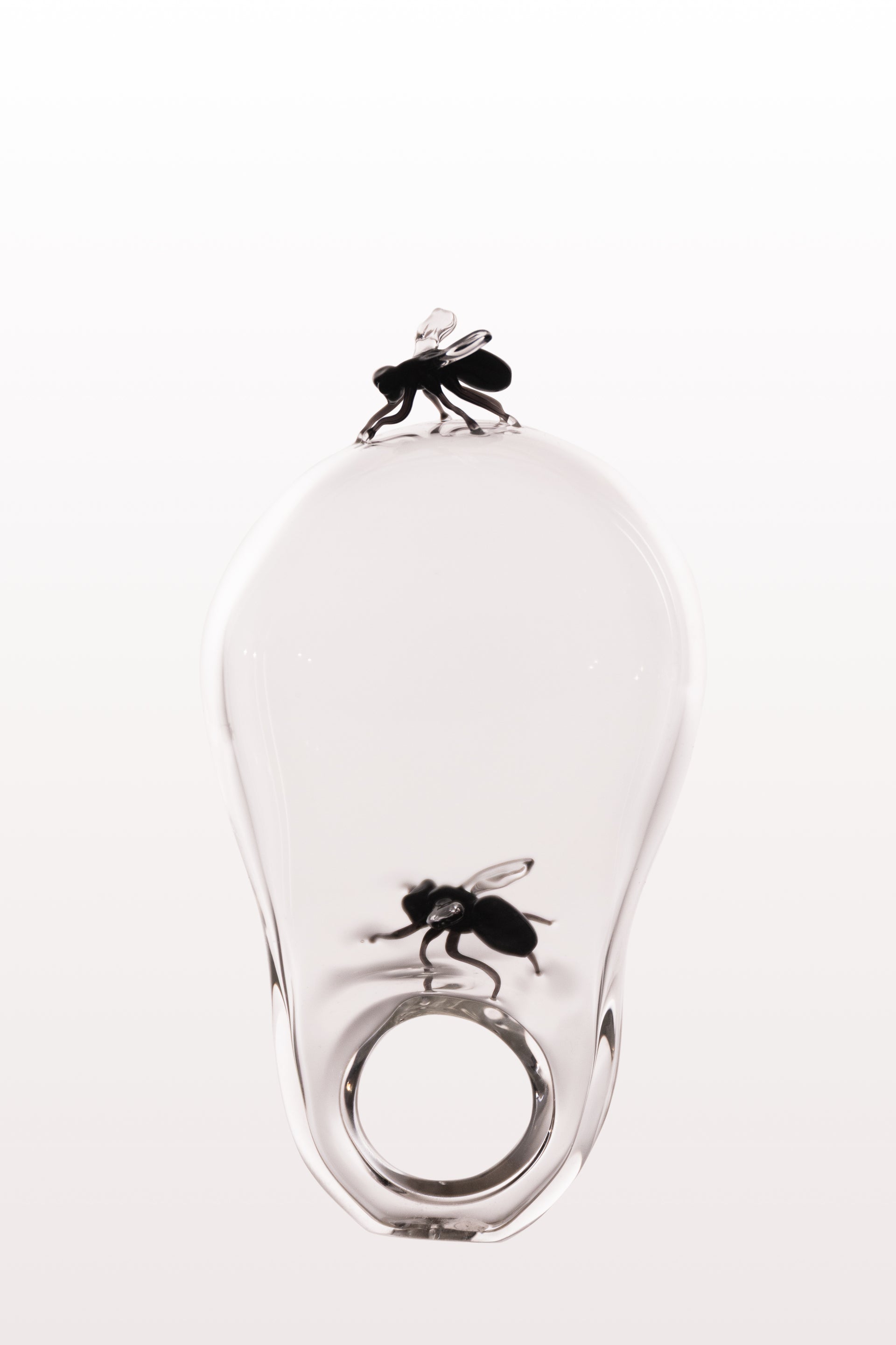 Clear glass with a black fly illusion design, featuring a realistic insect print print inside the base