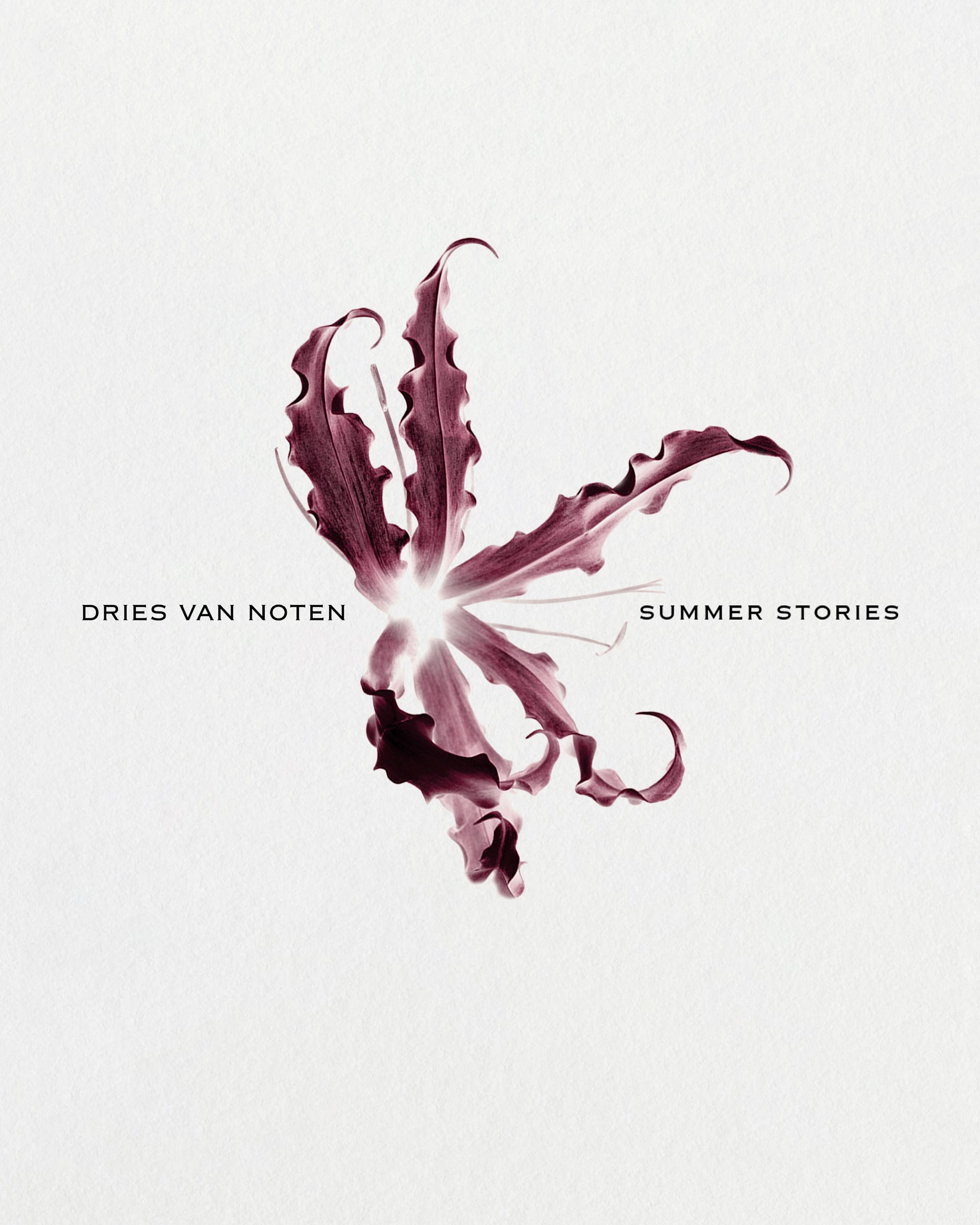 Cover of 'Summer Stories' by Dries Van Noten with a stylized flower design on a light background.