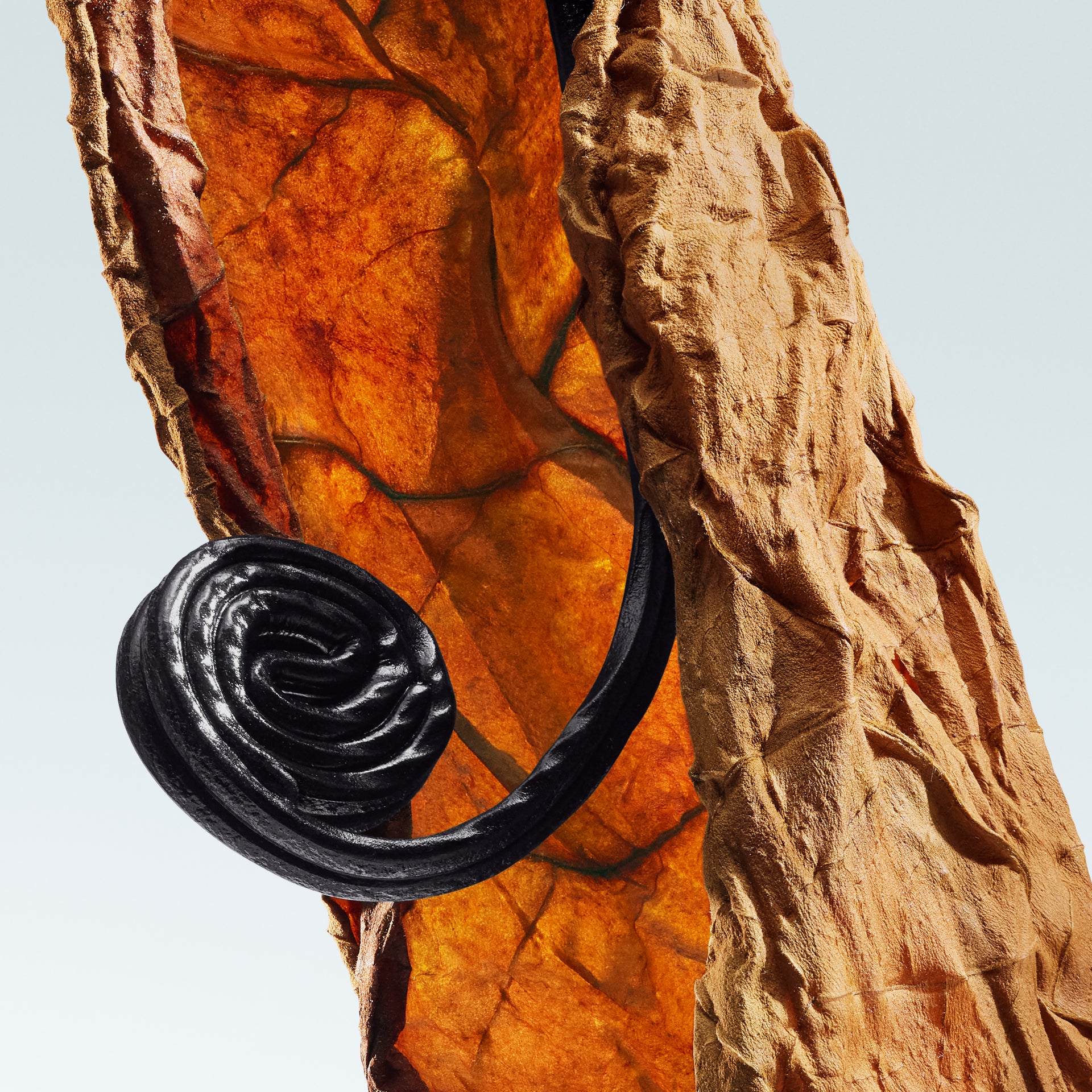 Black spiral object on a textured brown surface