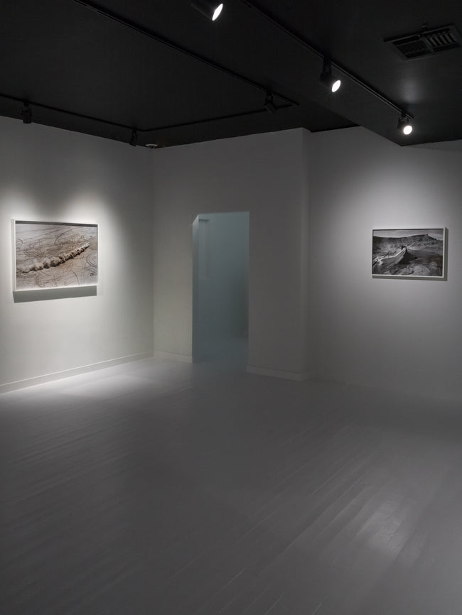 Dries Van Noten Installation