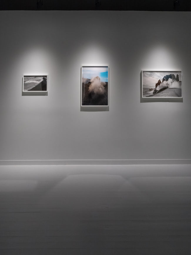 Dries Van Noten Installation