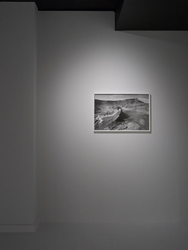 Dries Van Noten Installation