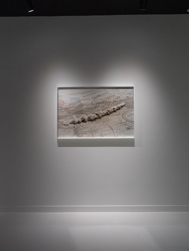 Dries Van Noten Installation