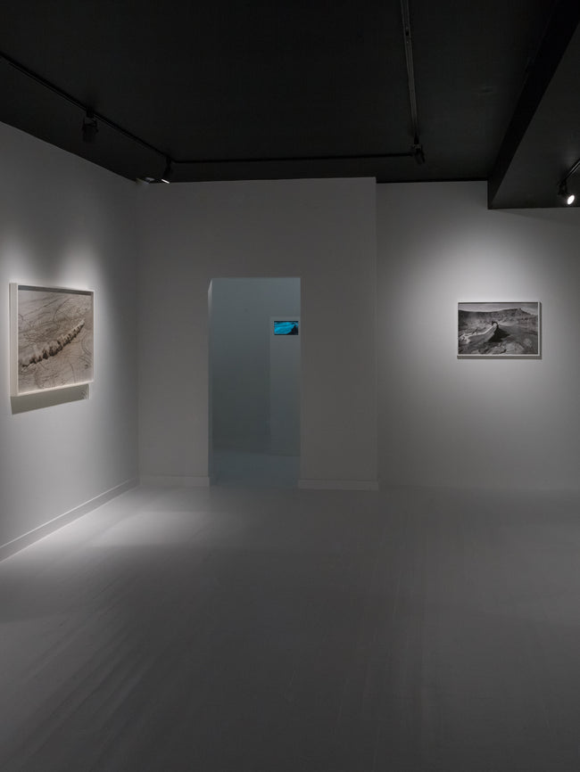 Dries Van Noten Installation