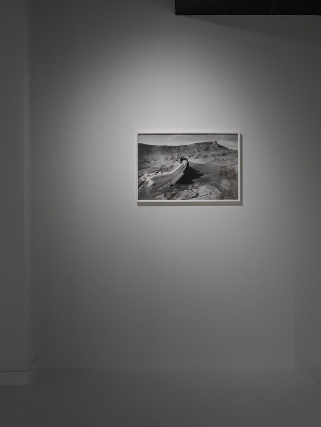 Dries Van Noten Installation